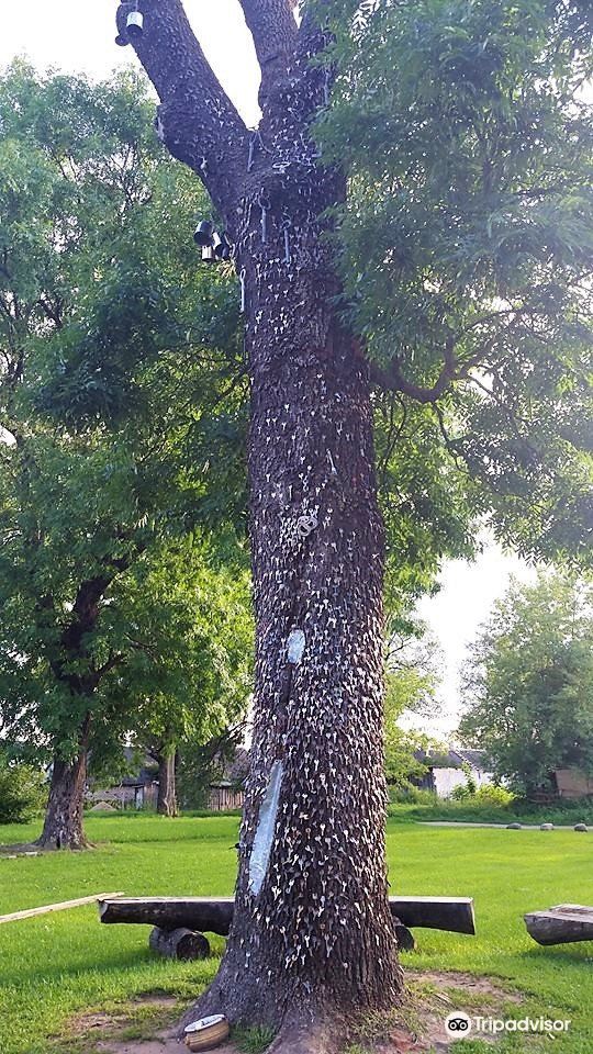 Key tree