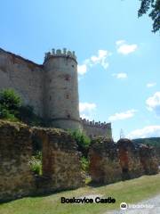 Zricenina Hradu Boskovice