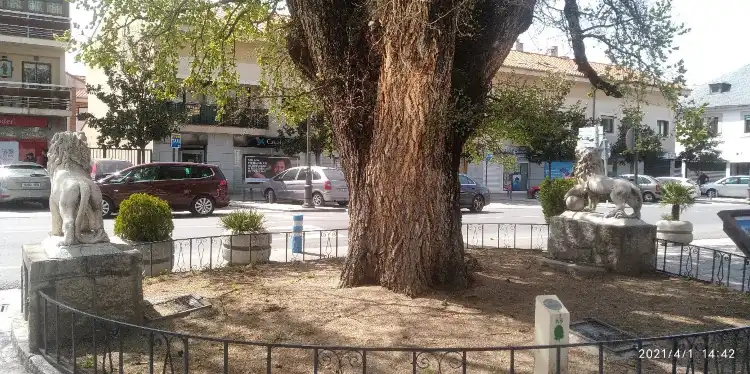 Hotels in Guadarrama