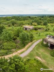 Batteries of Mont Canisy