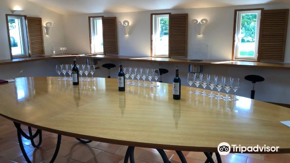 Chateau Mouton Rothschild