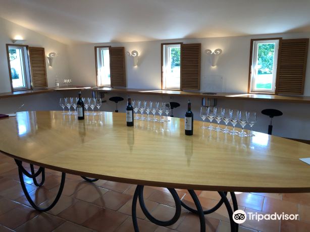 Chateau Mouton Rothschild
