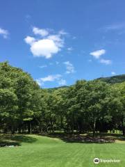 林業試驗場樹木公園