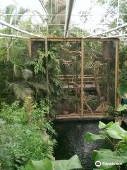 Berkenhof Tropical Zoo