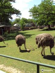 Zoo Neuwied