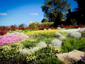 Australian Botanic Garden Mount Annan