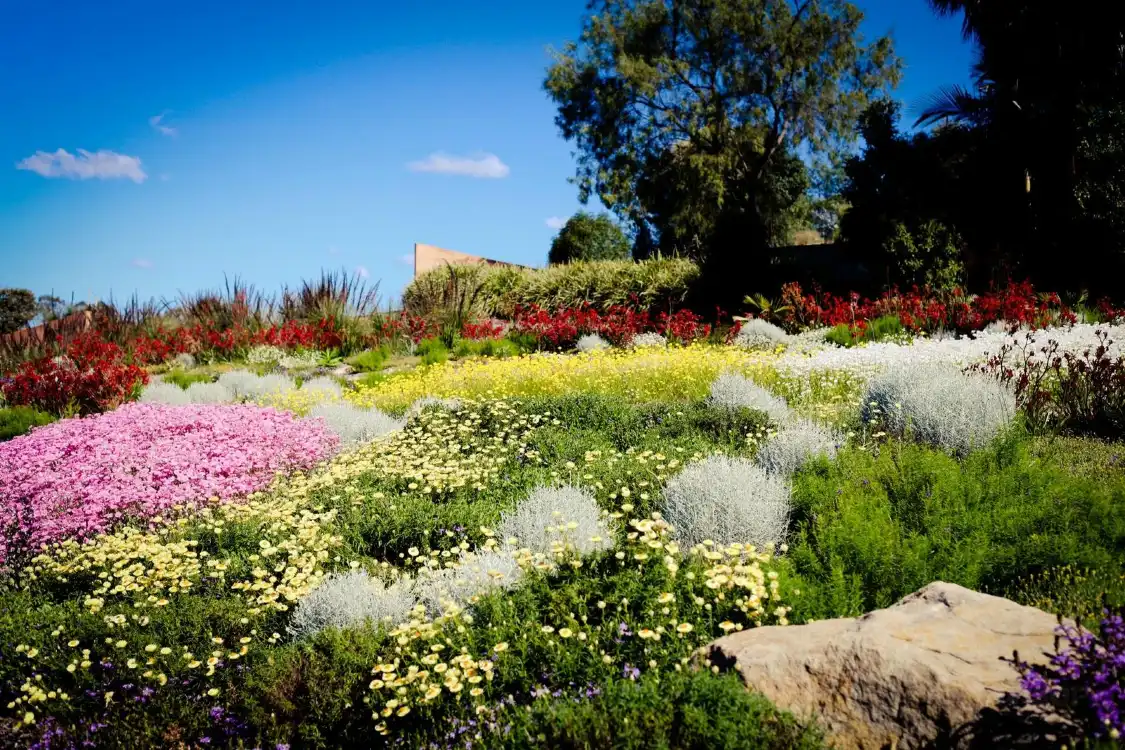 Hotels near Australian Botanic Garden Mount Annan