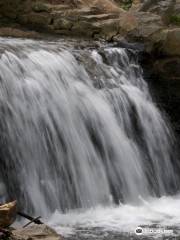 Newlin Grist Mill Park