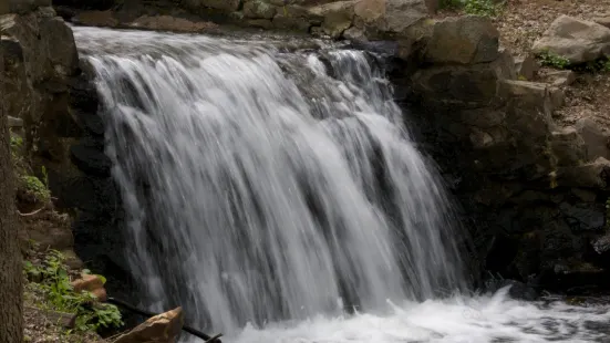 Newlin Grist Mill Park