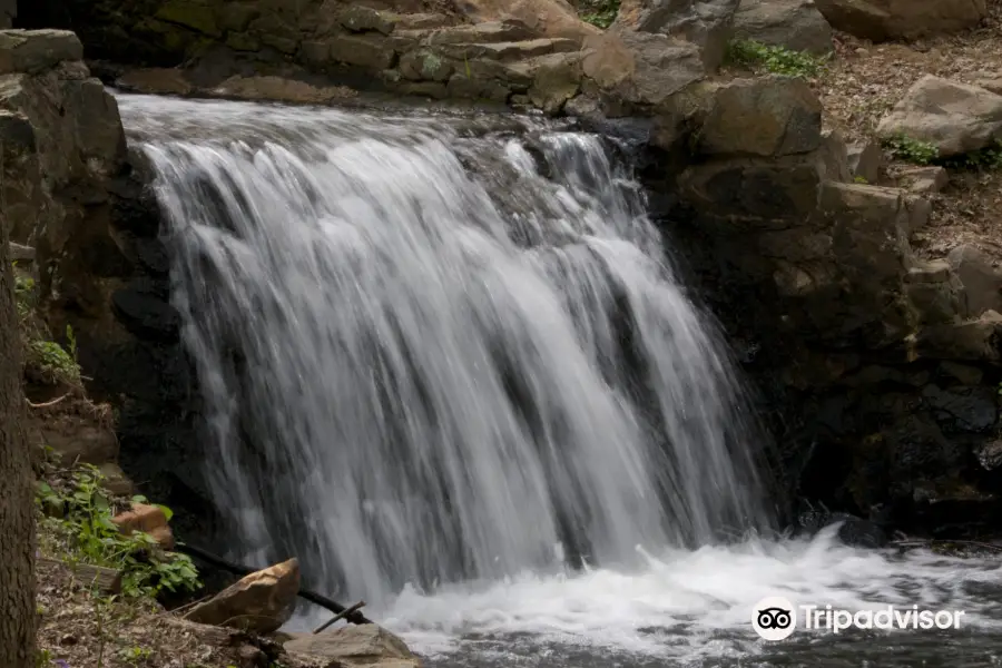 Newlin Grist Mill Park