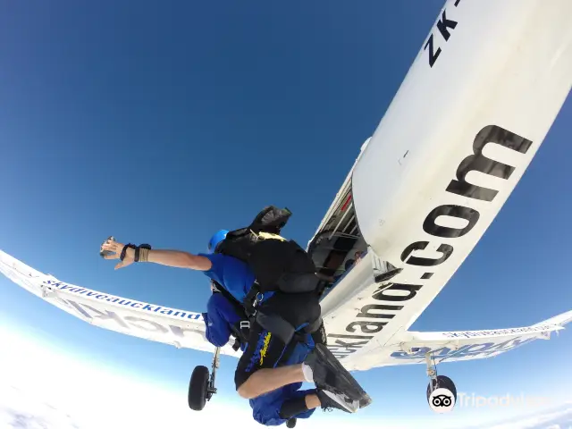 Skydiving in Auckland