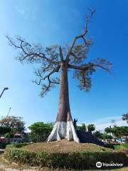 Parque de La Lupuna