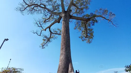 ラ・ルプナ公園