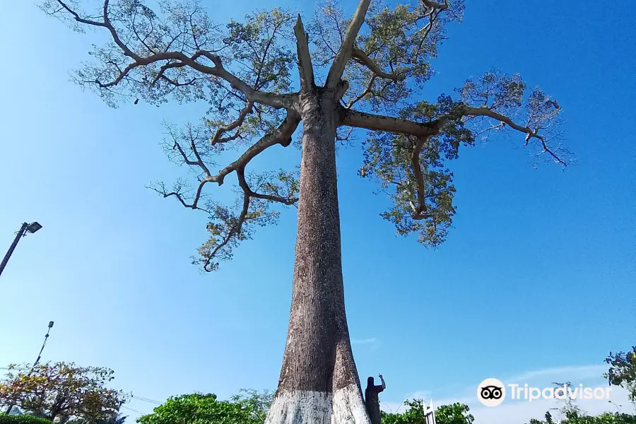 Parque la Lupuna