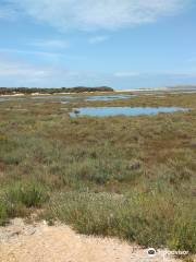 Lagune de Sidi Moussa