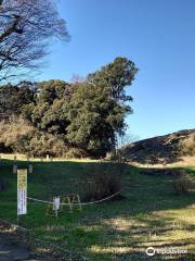 Motosakura Castle Ruins