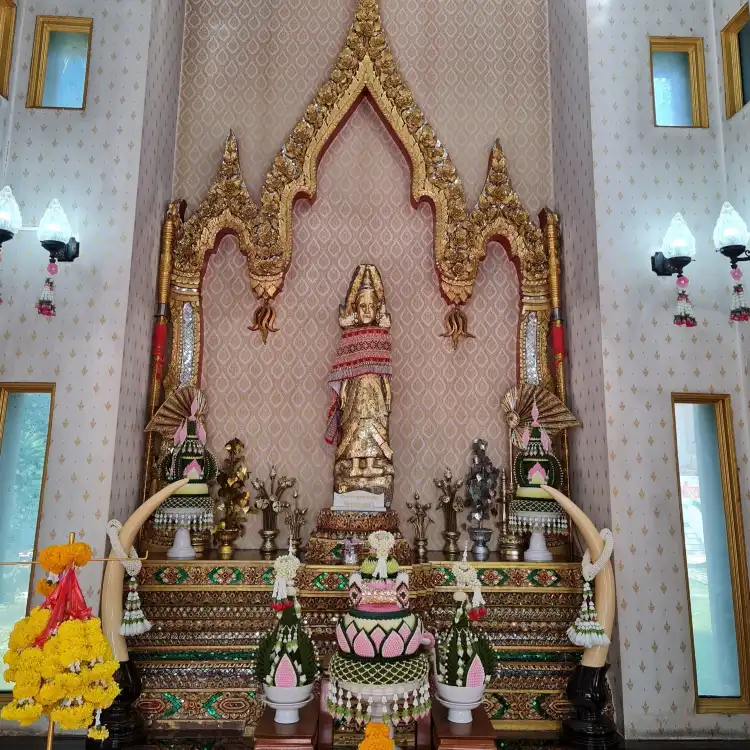 Hotels in Thani