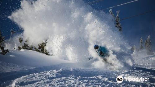 マンモス山スキー場