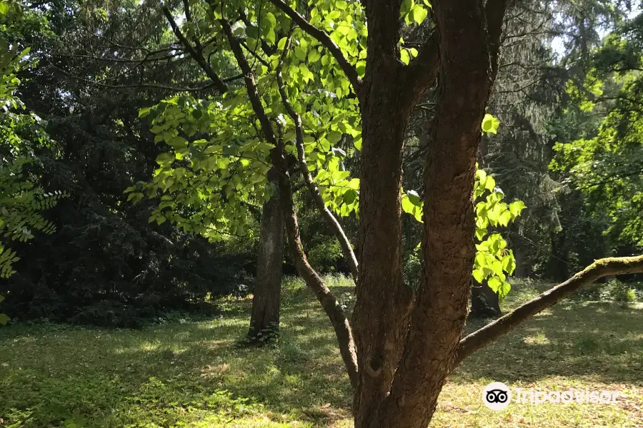 Buddenberg-Arboretum