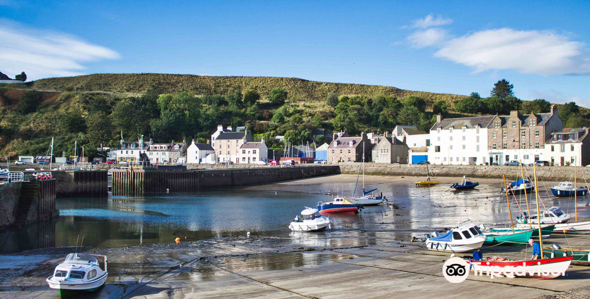 Stonehaven Harbour