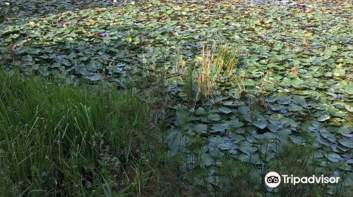 New Germany Nature Reserve