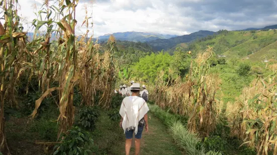 Finca Buenos Aires Coffee Tour & Coffee Shop