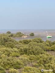 Balachari Beach