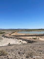 Sonny Bono National Wildlife Reserve