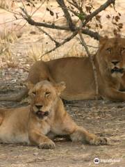 Pendjari National Park