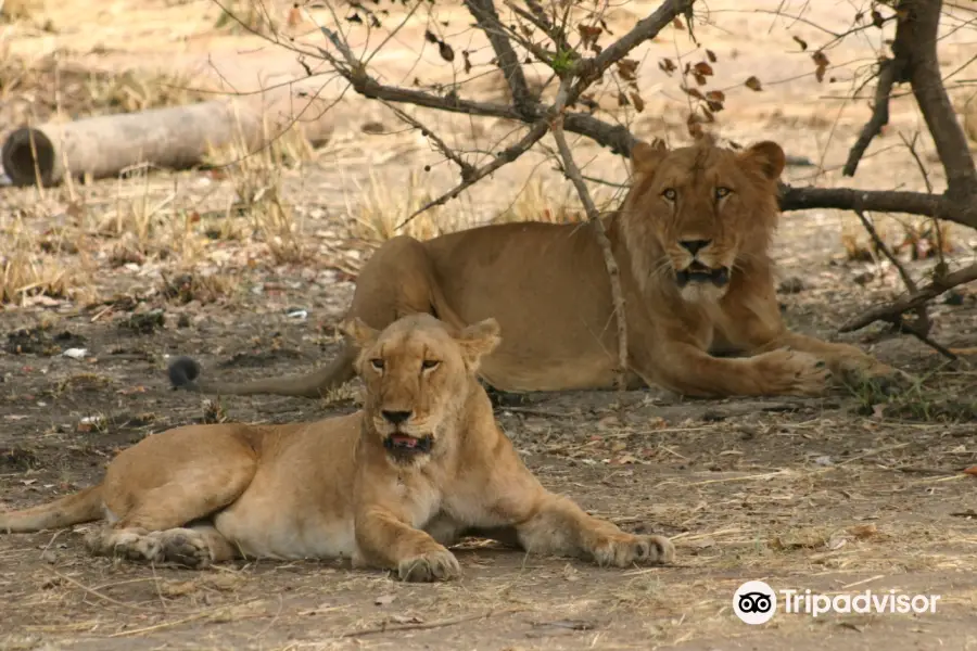 Pendjari National Park