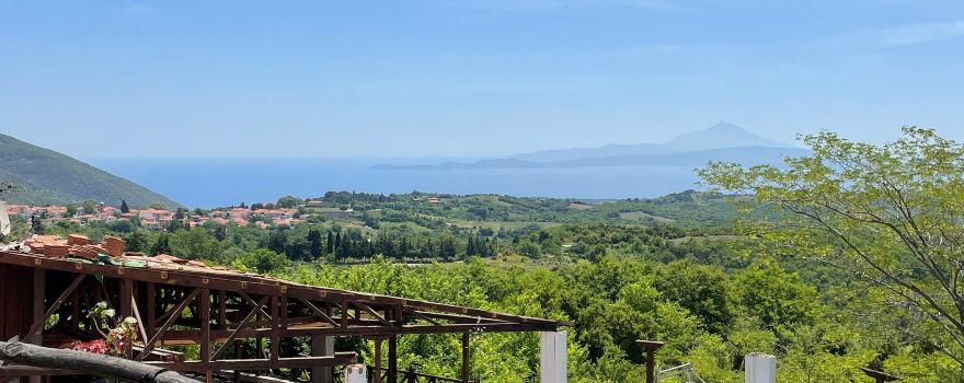 Aristotle's Park