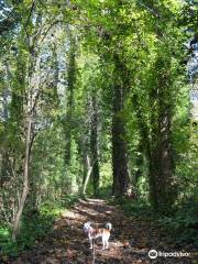 Chesapeake Arboretum