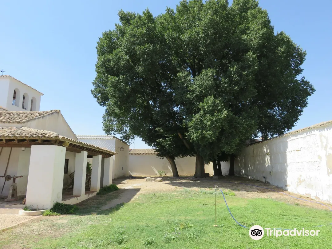 4_Museo-Casa de Dulcinea Del Toboso