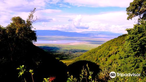 Ngorongoro Crater