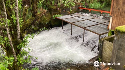 Bear Creek Weir