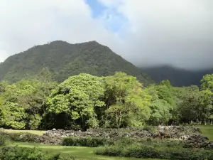 Zoológico El Níspero