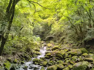 犬鳴山