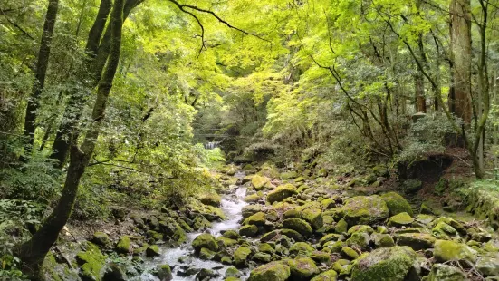 이누나키 산