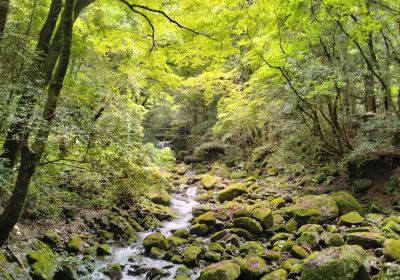 犬鳴山