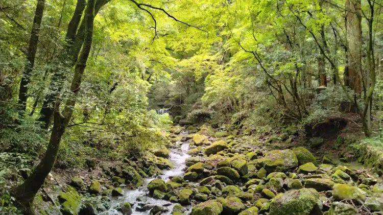 宮若市