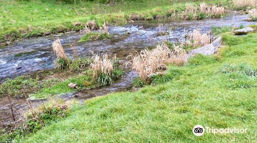 Limestone Way / Bradford River Walk