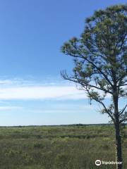 CREW Marsh Trails