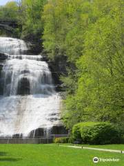 Shequaga Falls