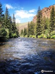 Gunnison National Forest