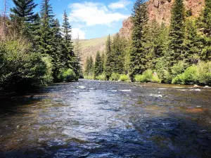 Gunnison National Forest