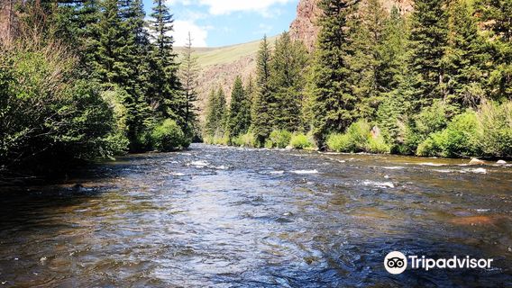 Gunnison National Forest