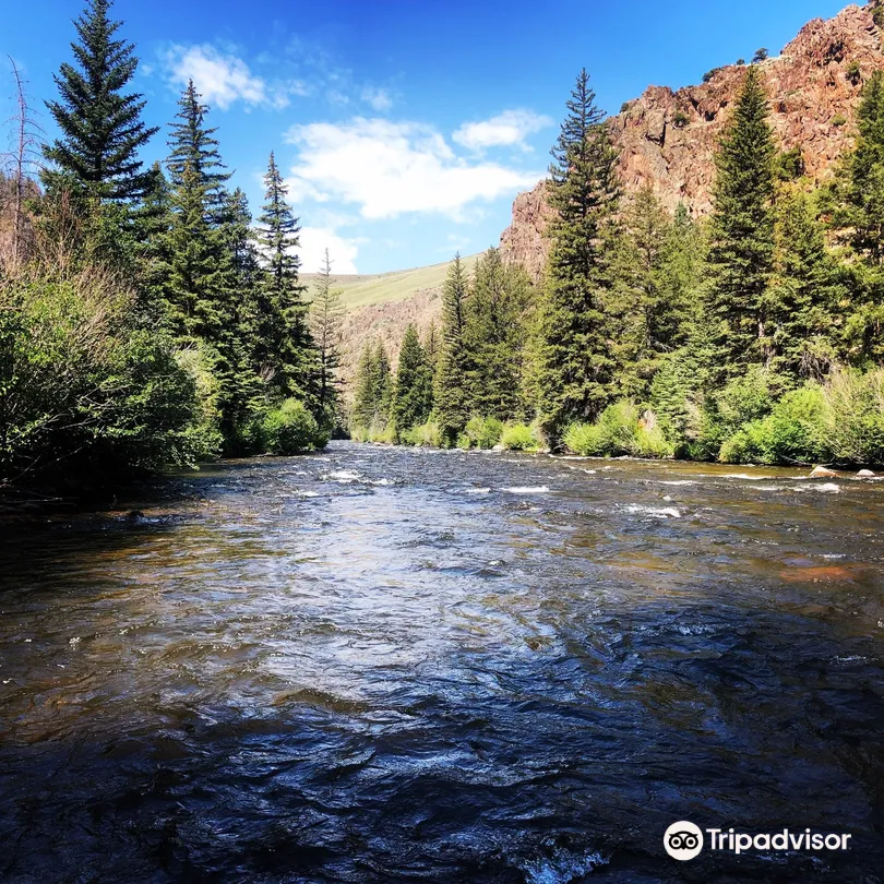 1_Gunnison National Forest