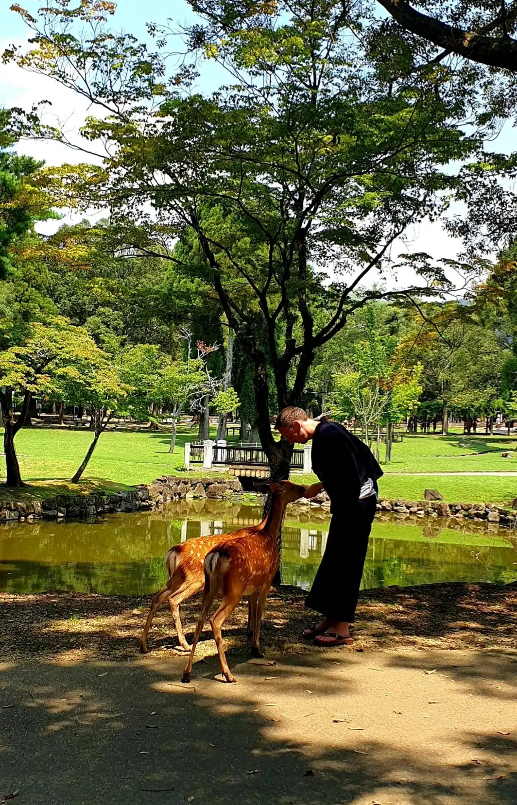 Hotels near NaraKimono Rental Fuji