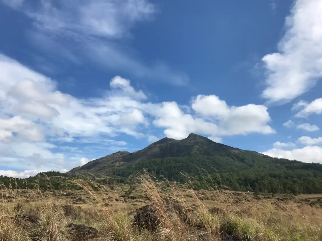 Hotel in zona Go Bali Trekking