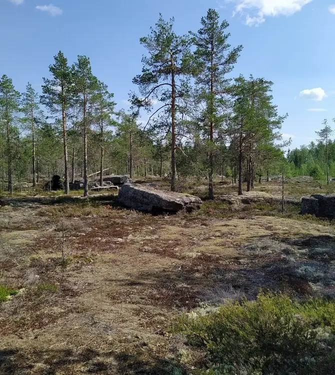 Jalasjarvi